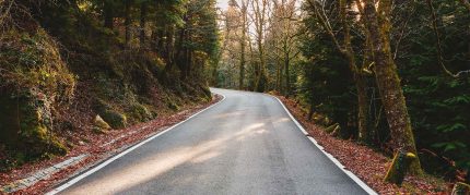 fahrzeugaufbereiter-Filderstadt